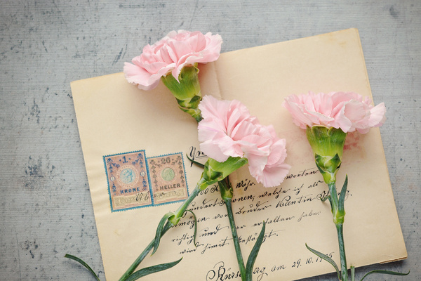 Rose Flowers on Old Letters